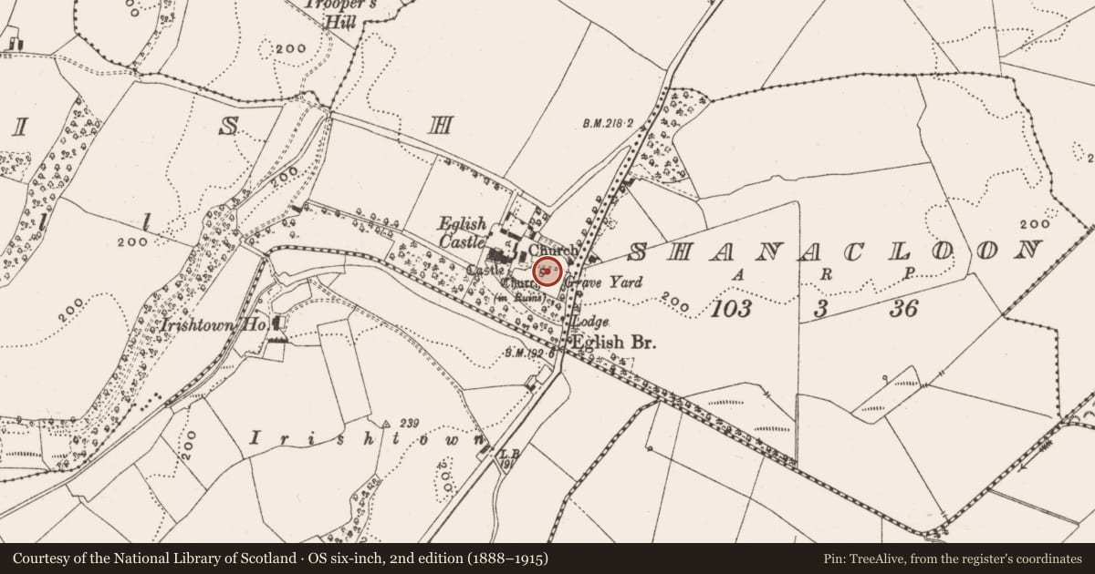 Ordnance Survey six-inch map, 2nd edition (1888–1915) covering the location of Church, Eglish, County Offaly, with a pin at the register's coordinates