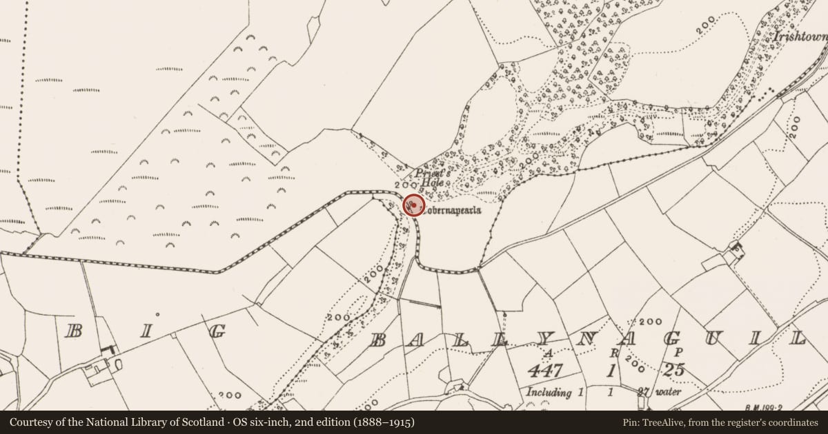 Ordnance Survey six-inch map, 2nd edition (1888–1915) covering the location of Ritual site - holy well, Eglish, County Offaly, with a pin at the register's coordinates