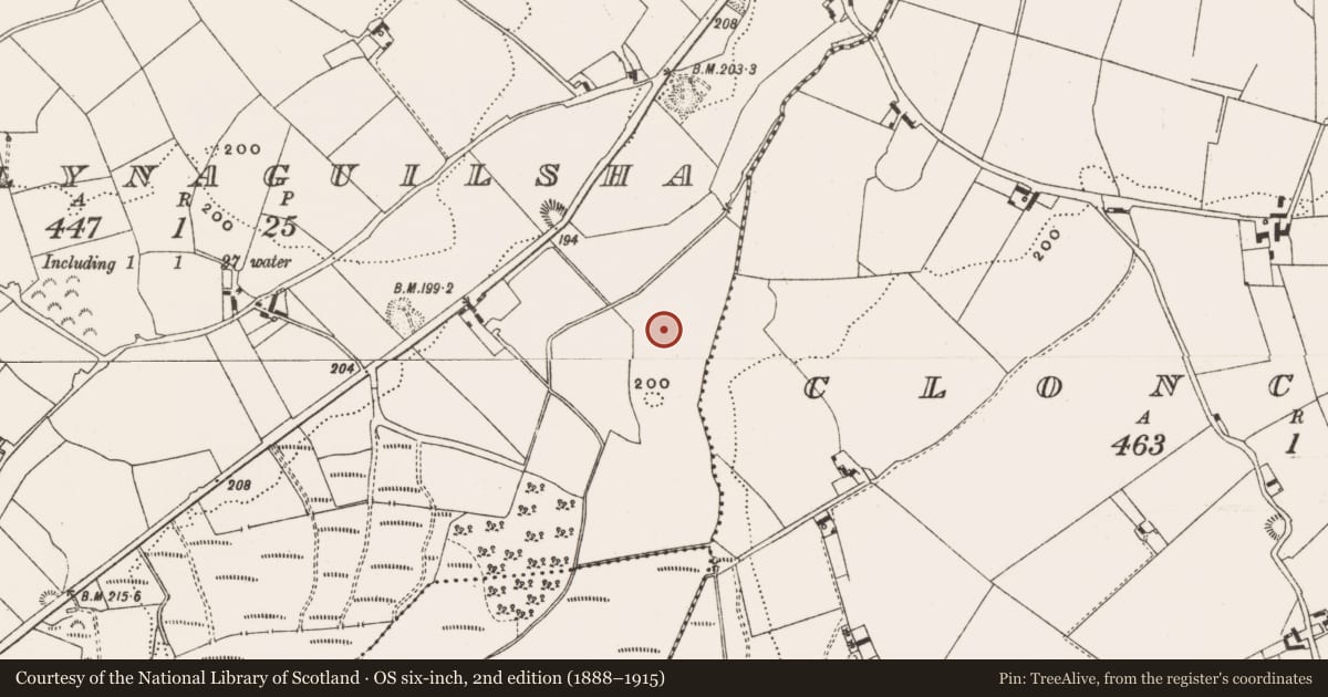 Ordnance Survey six-inch map, 2nd edition (1888–1915) covering the location of Enclosure, Ballynaguilsha, County Offaly, with a pin at the register's coordinates