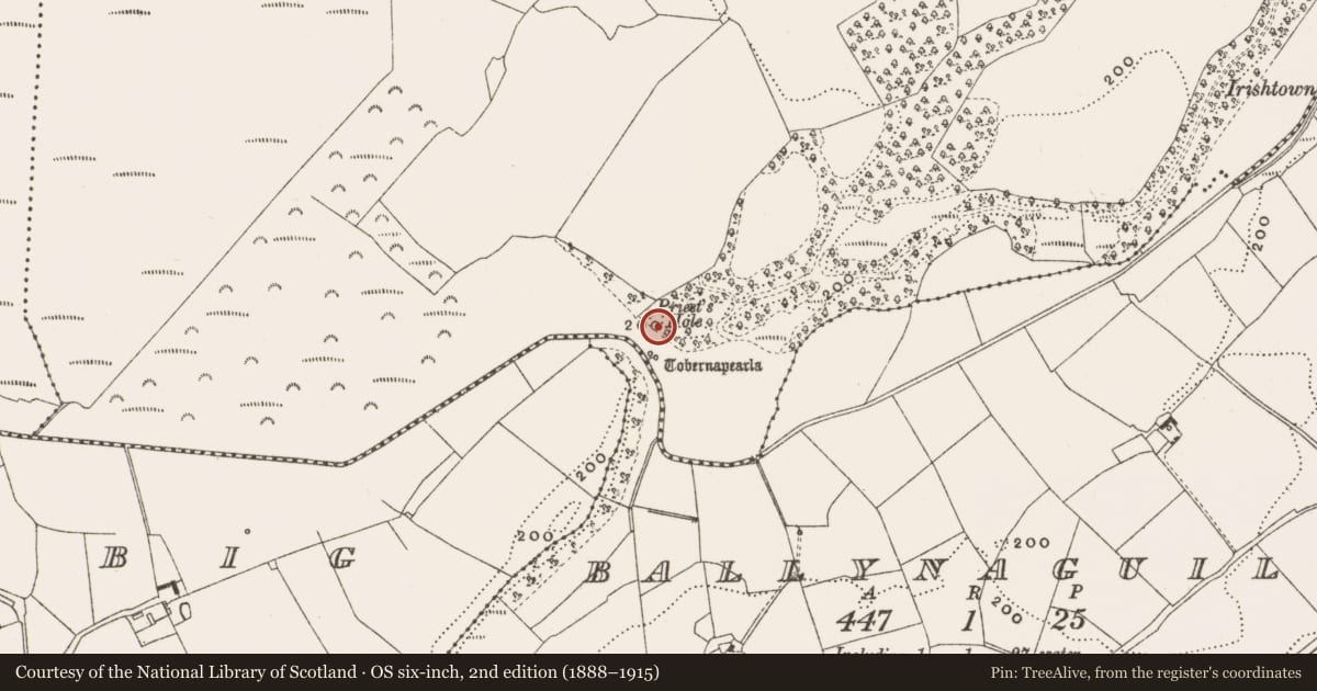 Ordnance Survey six-inch map, 2nd edition (1888–1915) covering the location of Mass-rock, Ballycollin, County Offaly, with a pin at the register's coordinates