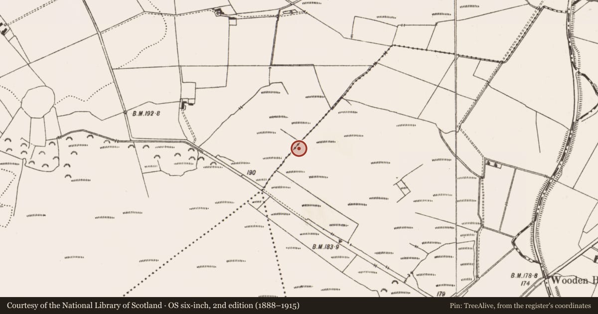 Ordnance Survey six-inch map, 2nd edition (1888–1915) covering the location of Structure - peatland, Aghagoogy, County Offaly, with a pin at the register's coordinates