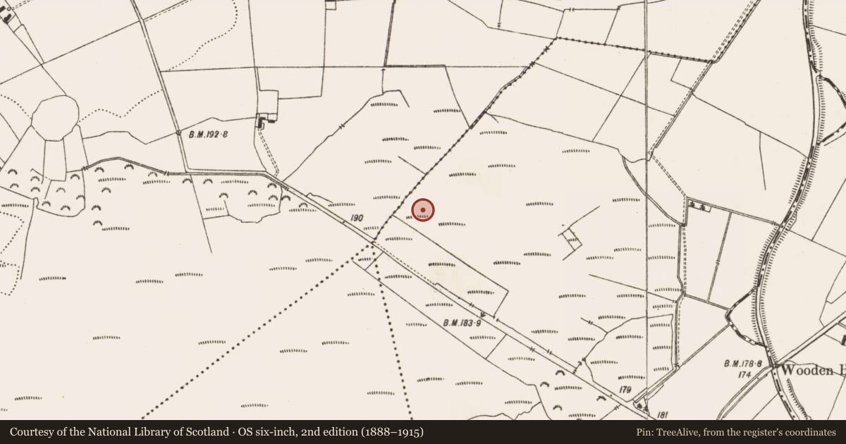 Ordnance Survey six-inch map, 2nd edition (1888–1915) covering the location of Road - class 3 togher, Aghagoogy, County Offaly, with a pin at the register's coordinates