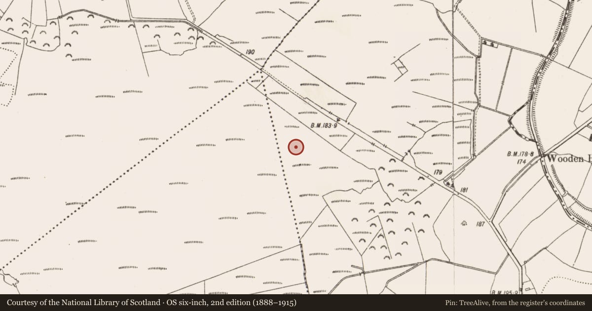 Ordnance Survey six-inch map, 2nd edition (1888–1915) covering the location of Structure - peatland, Aghagoogy, County Offaly, with a pin at the register's coordinates