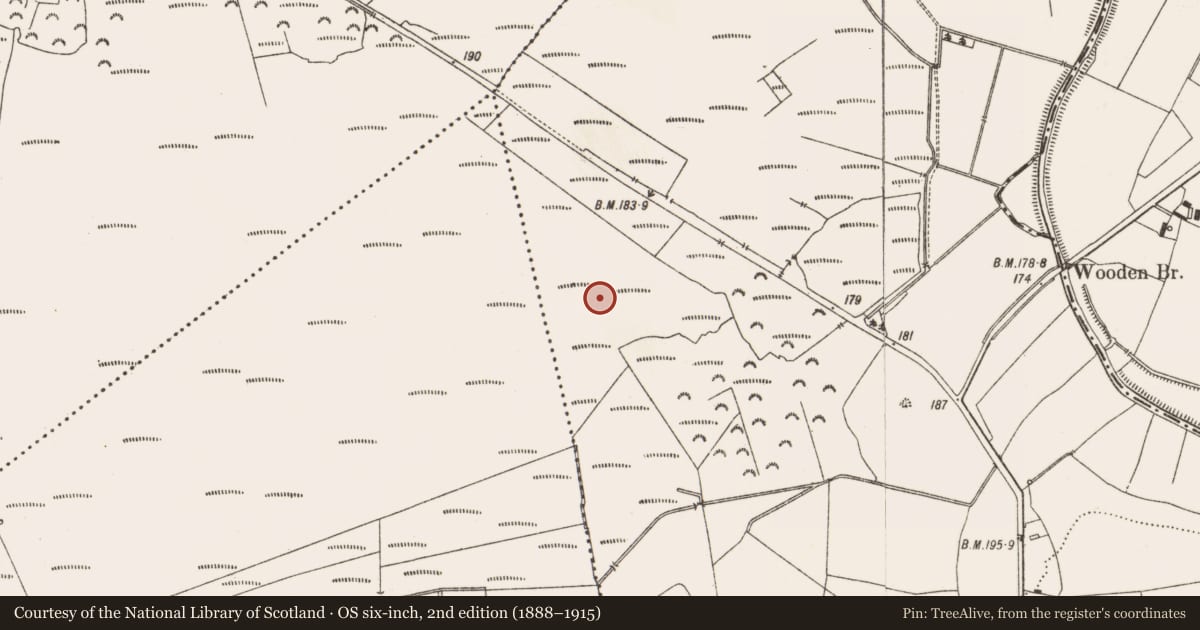 Ordnance Survey six-inch map, 2nd edition (1888–1915) covering the location of Structure - peatland, Aghagoogy, County Offaly, with a pin at the register's coordinates