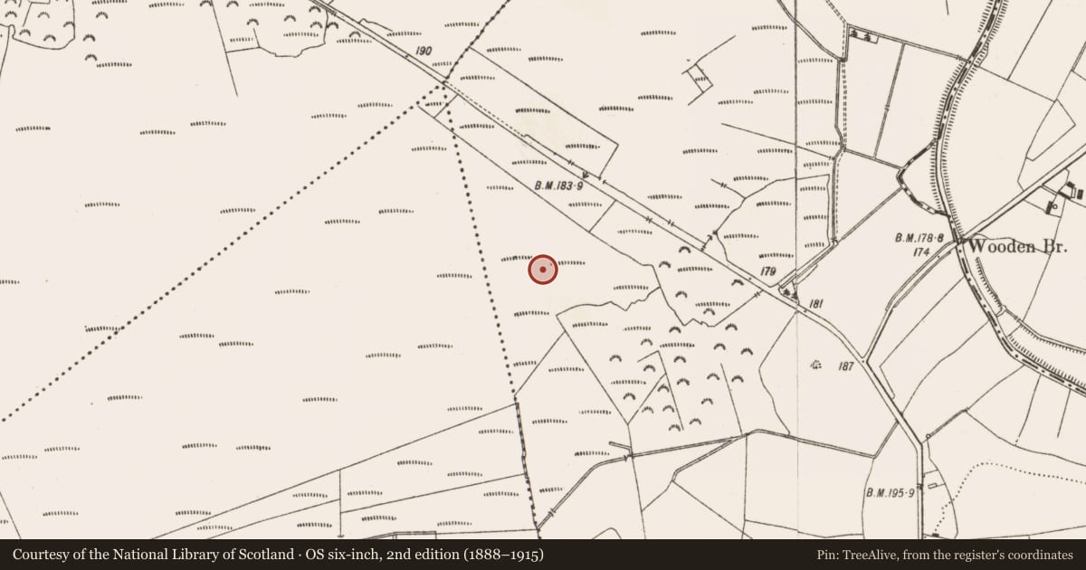 Ordnance Survey six-inch map, 2nd edition (1888–1915) covering the location of Road - class 3 togher, Aghagoogy, County Offaly, with a pin at the register's coordinates