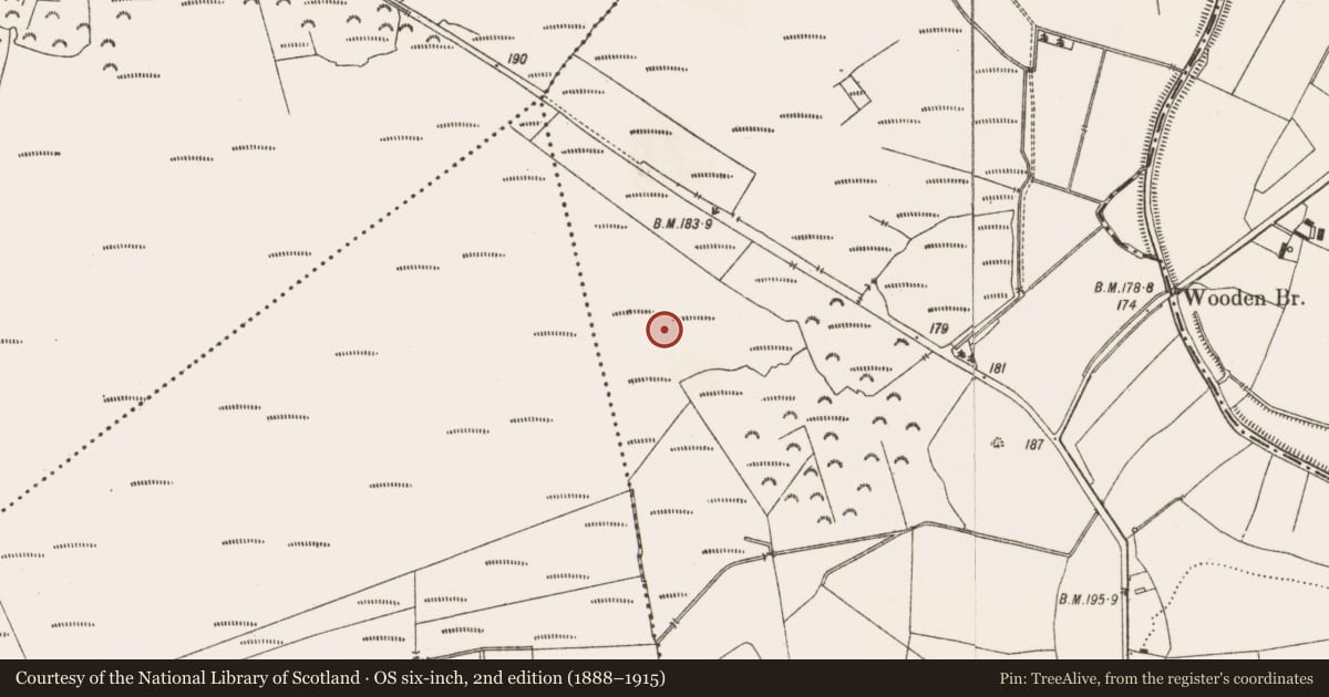 Ordnance Survey six-inch map, 2nd edition (1888–1915) covering the location of Structure - peatland, Aghagoogy, County Offaly, with a pin at the register's coordinates
