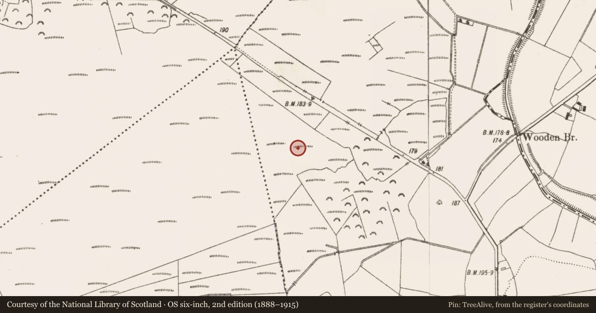 Ordnance Survey six-inch map, 2nd edition (1888–1915) covering the location of Road - class 3 togher, Aghagoogy, County Offaly, with a pin at the register's coordinates