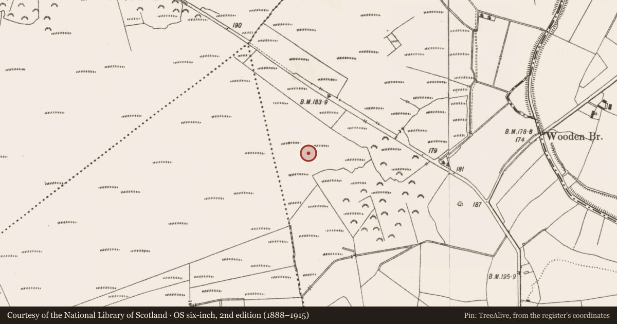 Ordnance Survey six-inch map, 2nd edition (1888–1915) covering the location of Structure - peatland, Aghagoogy, County Offaly, with a pin at the register's coordinates
