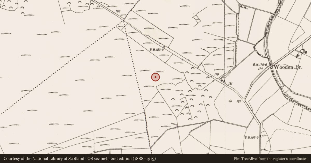 Ordnance Survey six-inch map, 2nd edition (1888–1915) covering the location of Structure - peatland, Aghagoogy, County Offaly, with a pin at the register's coordinates