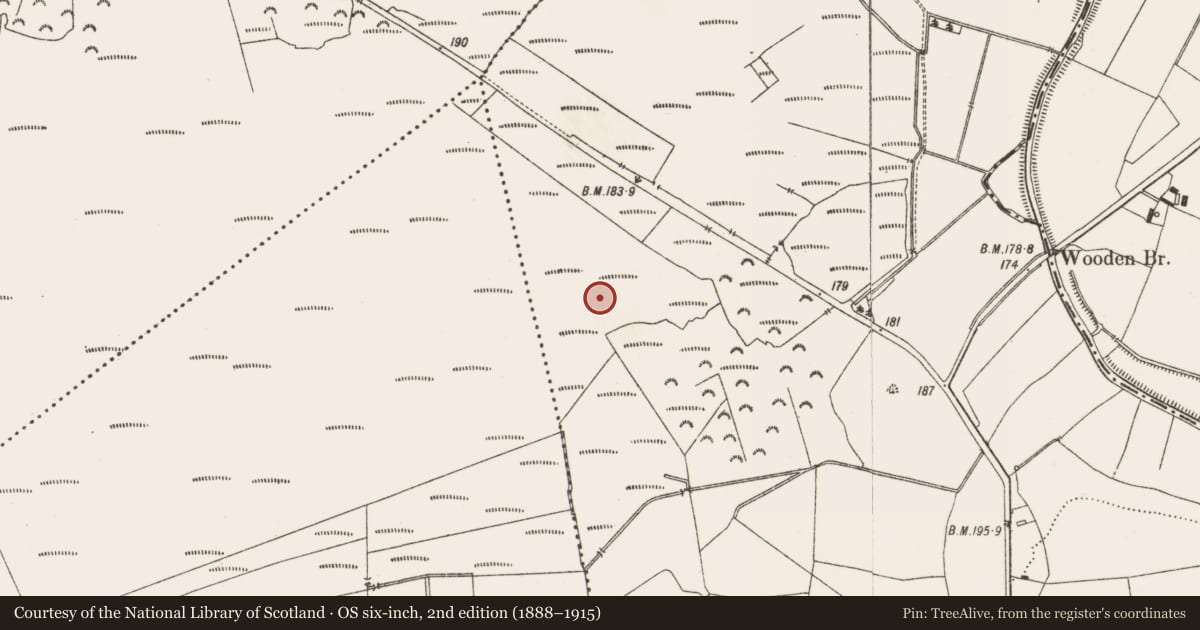 Ordnance Survey six-inch map, 2nd edition (1888–1915) covering the location of Structure - peatland, Aghagoogy, County Offaly, with a pin at the register's coordinates
