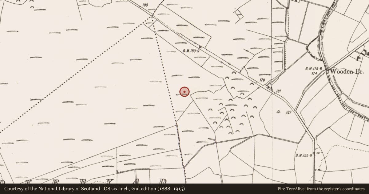 Ordnance Survey six-inch map, 2nd edition (1888–1915) covering the location of Structure - peatland, Aghagoogy, County Offaly, with a pin at the register's coordinates