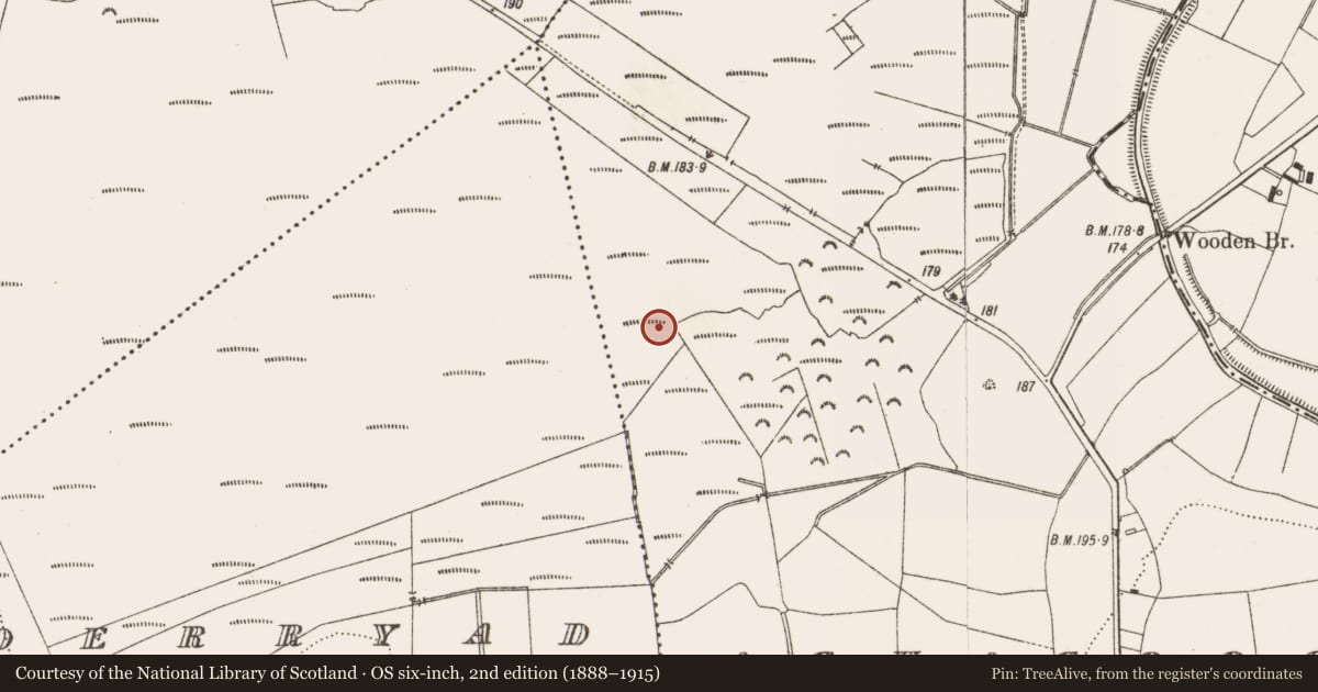 Ordnance Survey six-inch map, 2nd edition (1888–1915) covering the location of Structure - peatland, Aghagoogy, County Offaly, with a pin at the register's coordinates