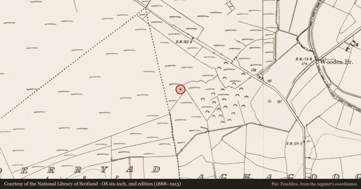Ordnance Survey six-inch map, 2nd edition (1888–1915) covering the location of Road - class 3 togher, Aghagoogy, County Offaly, with a pin at the register's coordinates