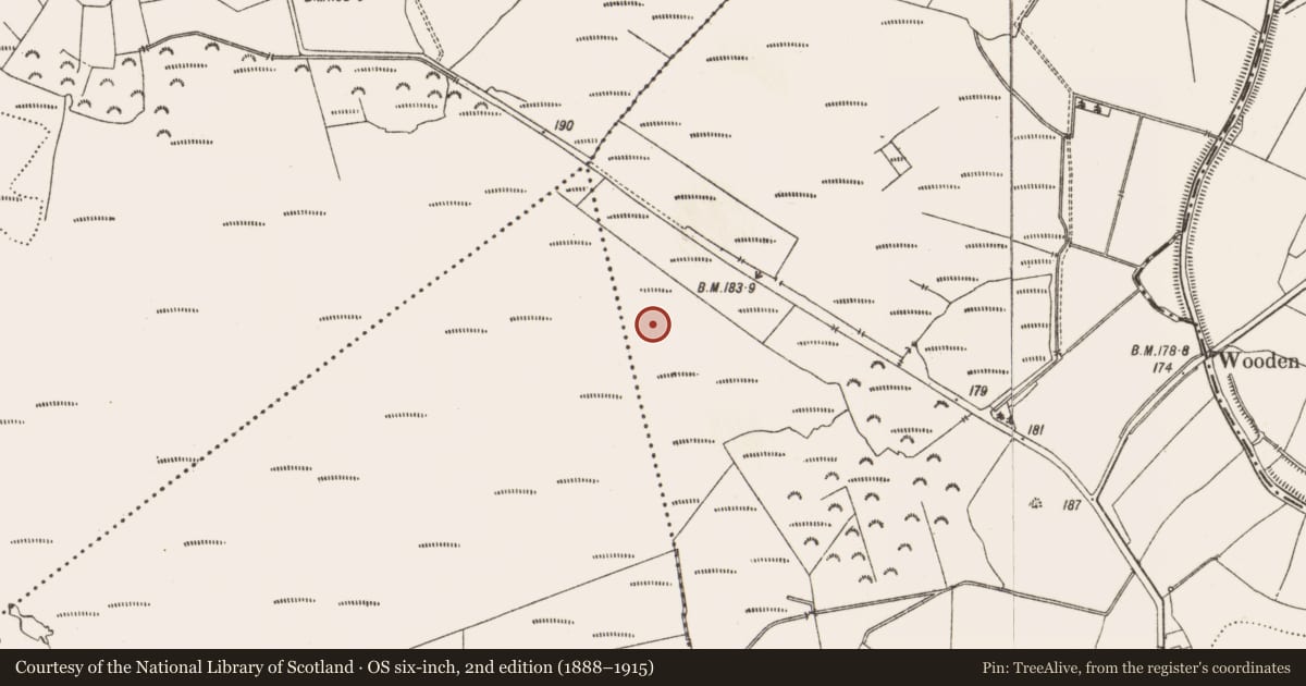 Ordnance Survey six-inch map, 2nd edition (1888–1915) covering the location of Structure - peatland, Aghagoogy, County Offaly, with a pin at the register's coordinates