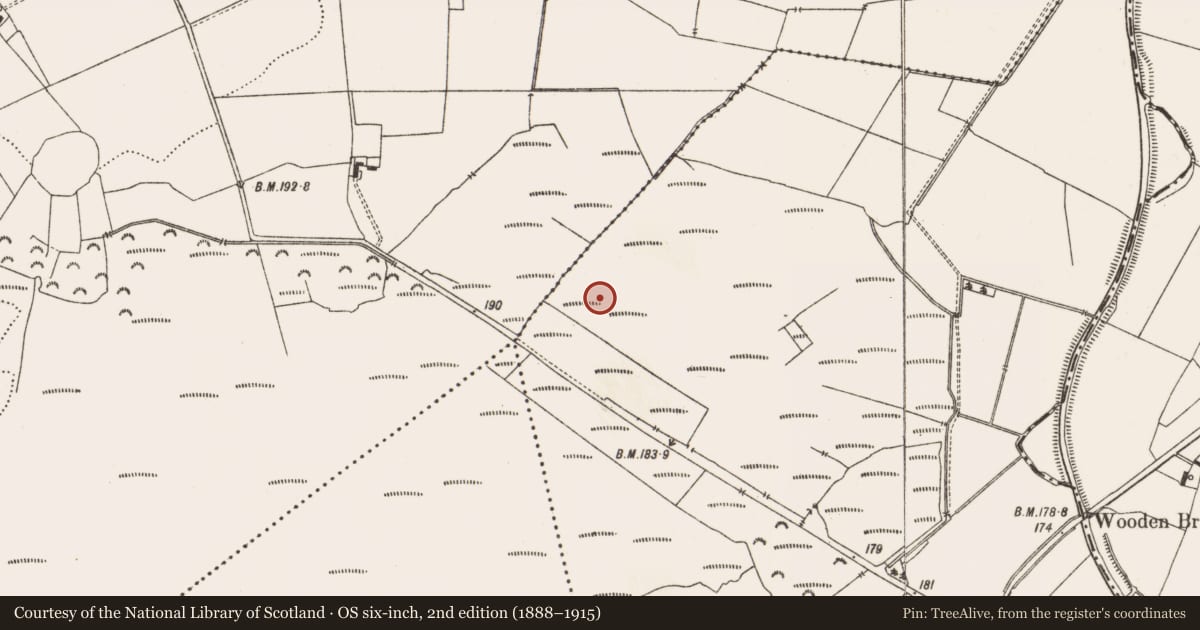 Ordnance Survey six-inch map, 2nd edition (1888–1915) covering the location of Road - class 3 togher, Aghagoogy, County Offaly, with a pin at the register's coordinates