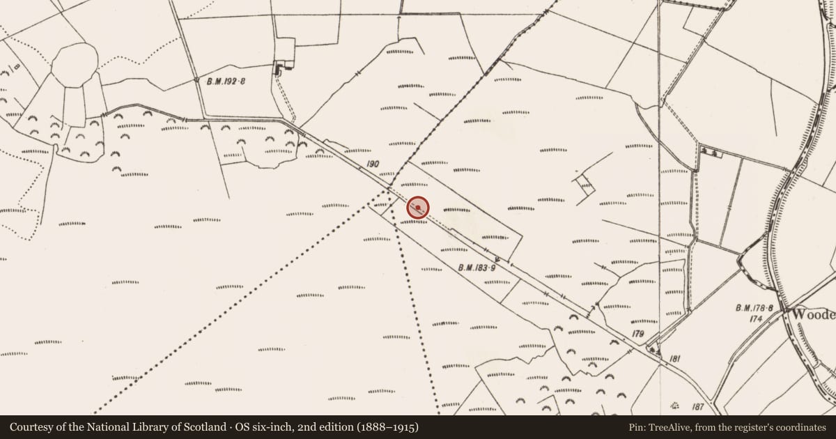 Ordnance Survey six-inch map, 2nd edition (1888–1915) covering the location of Road - class 3 togher, Aghagoogy, County Offaly, with a pin at the register's coordinates