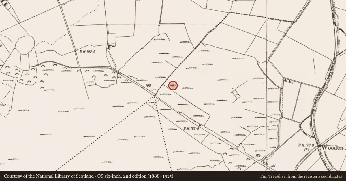 Ordnance Survey six-inch map, 2nd edition (1888–1915) covering the location of Structure - peatland, Aghagoogy, County Offaly, with a pin at the register's coordinates