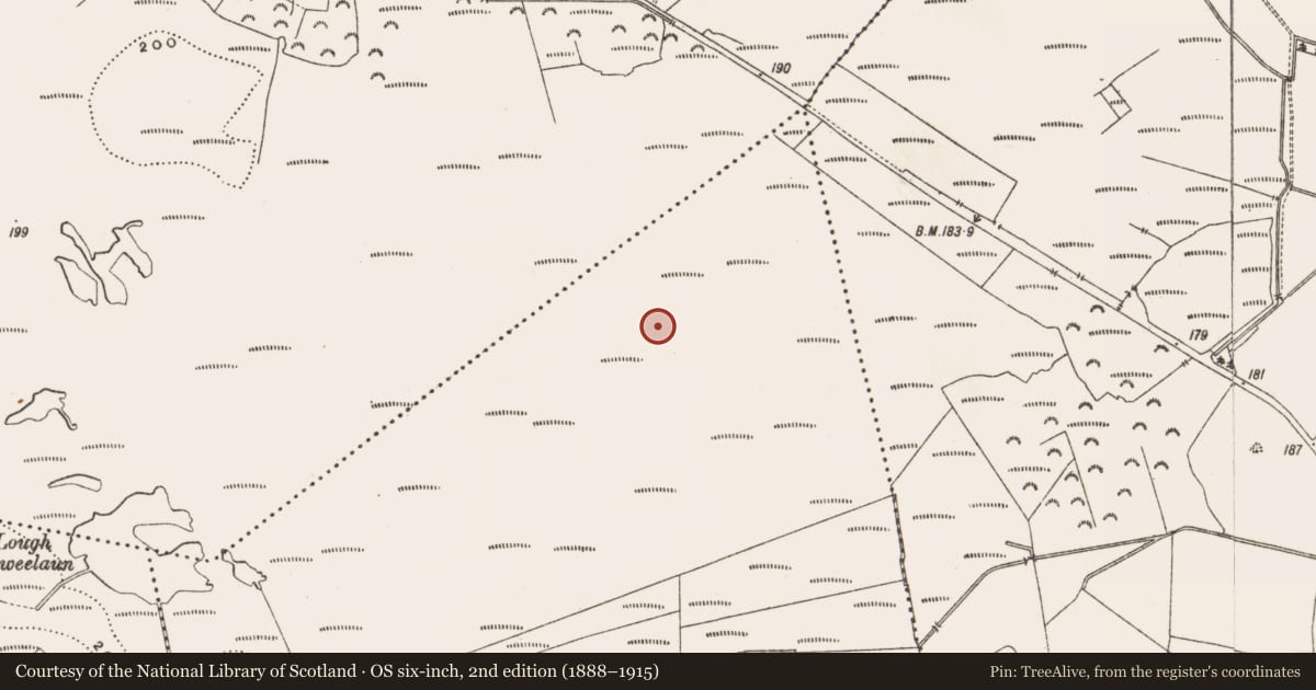Ordnance Survey six-inch map, 2nd edition (1888–1915) covering the location of Structure - peatland, Derryad, County Offaly, with a pin at the register's coordinates