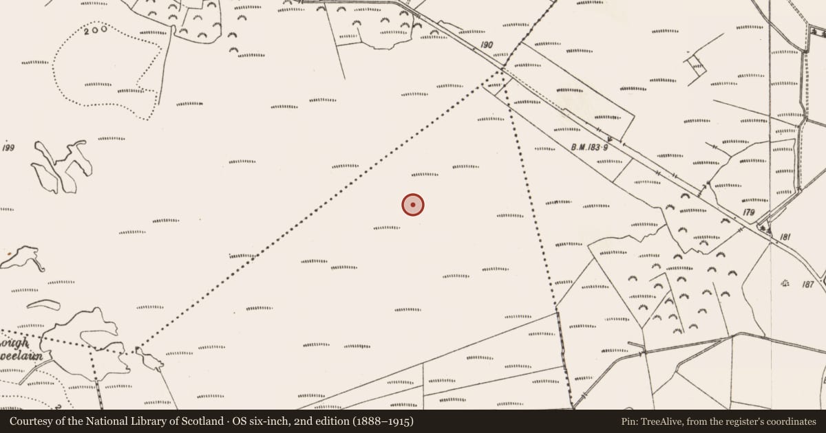Ordnance Survey six-inch map, 2nd edition (1888–1915) covering the location of Structure - peatland, Derryad, County Offaly, with a pin at the register's coordinates