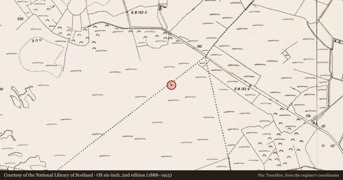 Ordnance Survey six-inch map, 2nd edition (1888–1915) covering the location of Road - class 3 togher, Derryad, County Offaly, with a pin at the register's coordinates