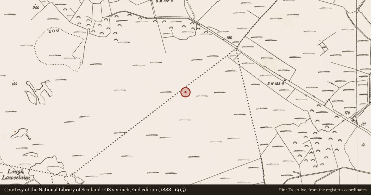 Ordnance Survey six-inch map, 2nd edition (1888–1915) covering the location of Structure - peatland, Derryad, County Offaly, with a pin at the register's coordinates