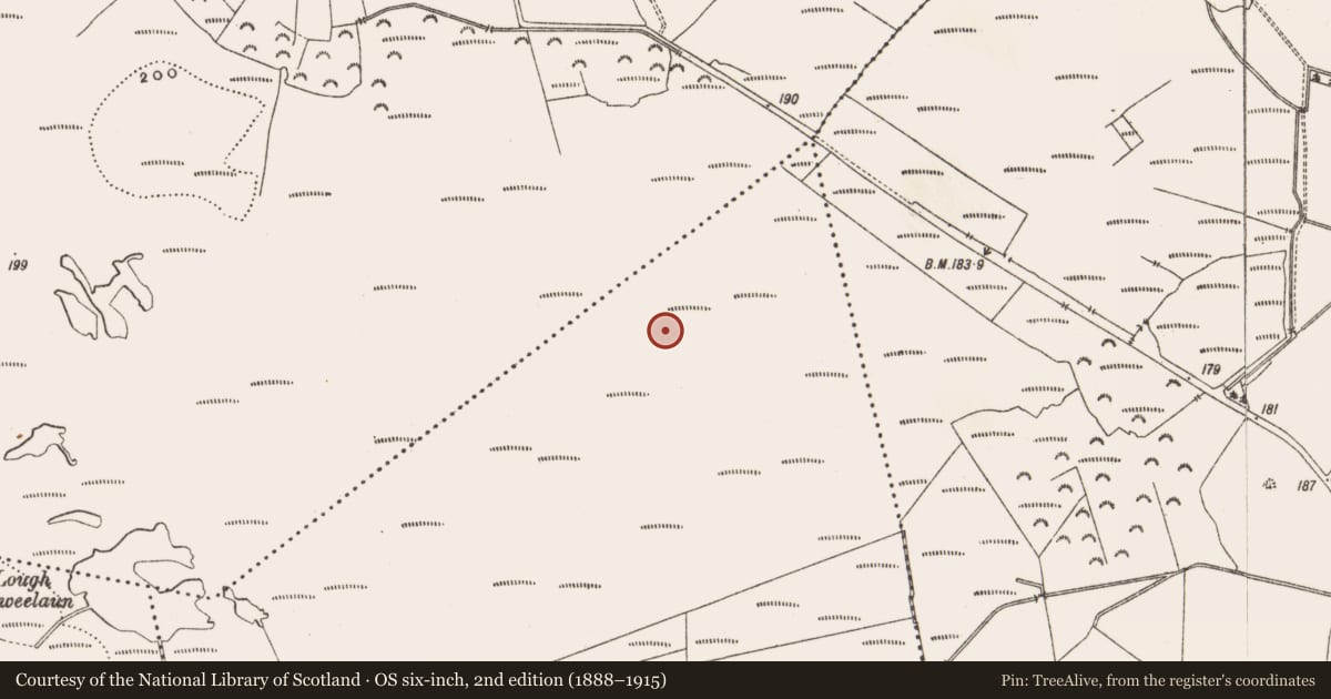 Ordnance Survey six-inch map, 2nd edition (1888–1915) covering the location of Structure - peatland, Derryad, County Offaly, with a pin at the register's coordinates