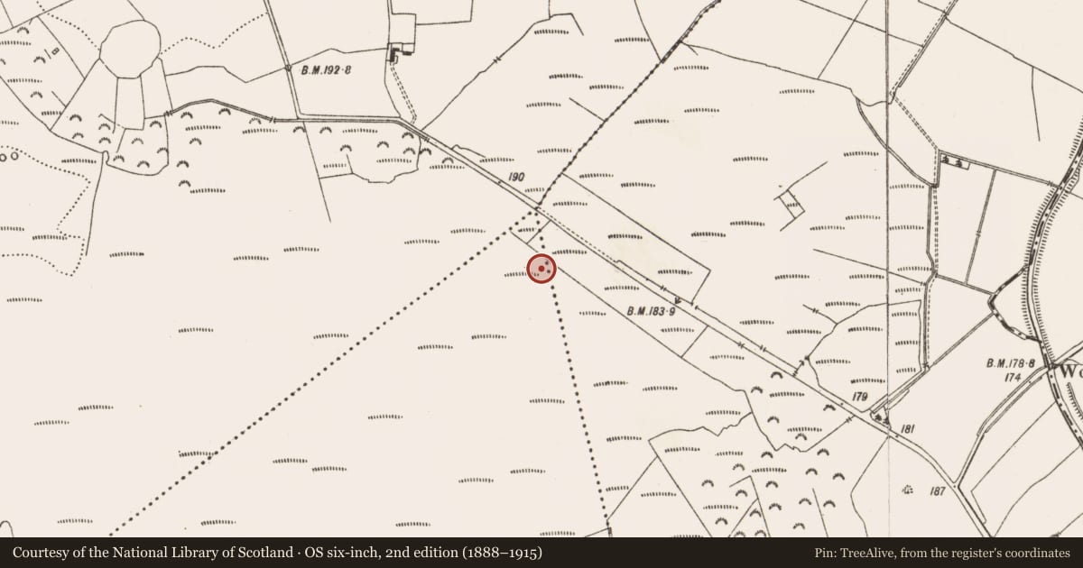 Ordnance Survey six-inch map, 2nd edition (1888–1915) covering the location of Road - class 3 togher, Derryad, County Offaly, with a pin at the register's coordinates
