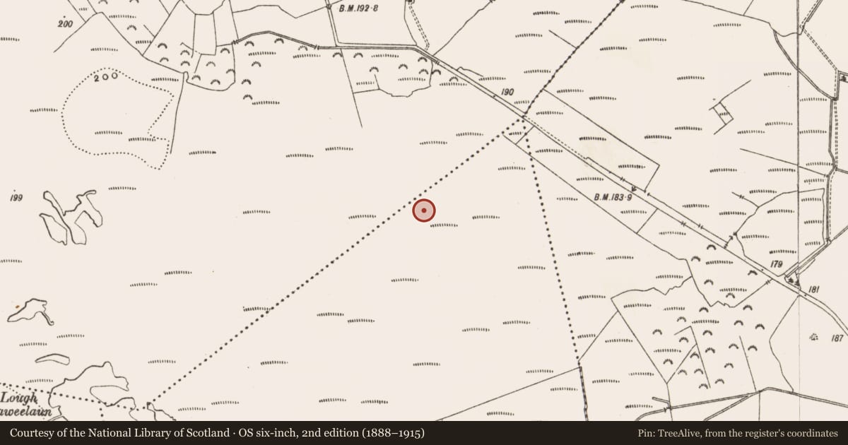 Ordnance Survey six-inch map, 2nd edition (1888–1915) covering the location of Road - class 1 togher, Derryad, Drinagh, County Offaly, with a pin at the register's coordinates