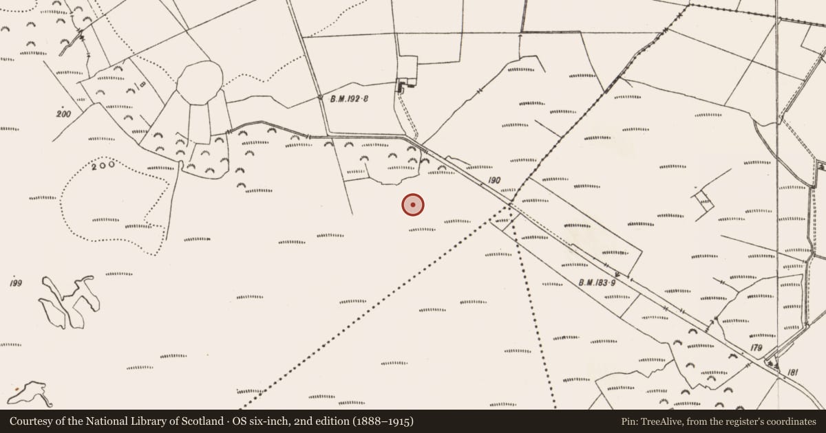 Ordnance Survey six-inch map, 2nd edition (1888–1915) covering the location of Road - class 3 togher, Drinagh, County Offaly, with a pin at the register's coordinates