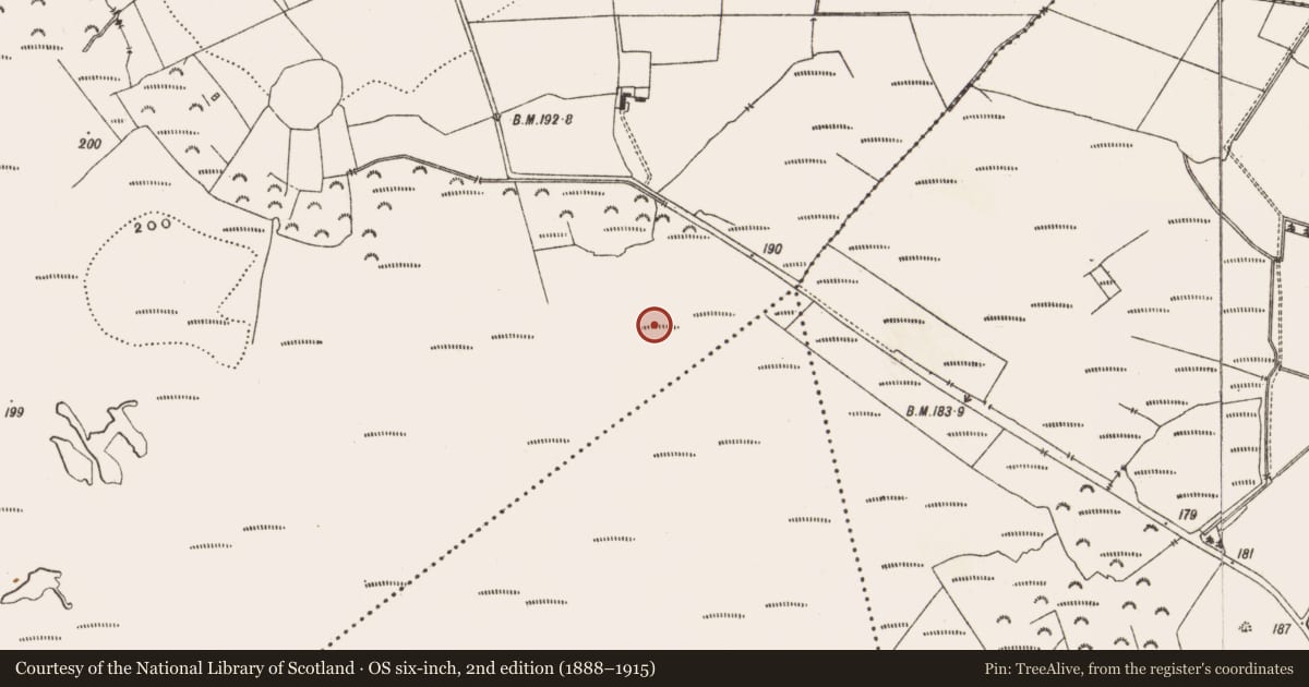 Ordnance Survey six-inch map, 2nd edition (1888–1915) covering the location of Road - class 3 togher, Drinagh, County Offaly, with a pin at the register's coordinates