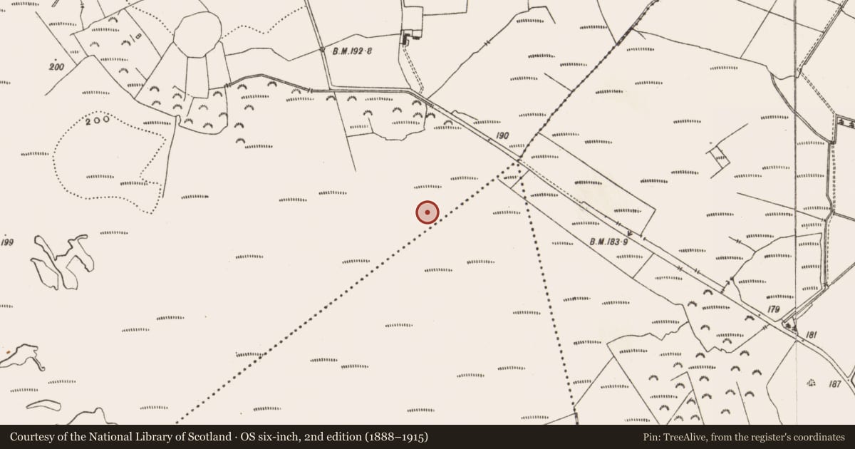 Ordnance Survey six-inch map, 2nd edition (1888–1915) covering the location of Road - class 3 togher, Drinagh, County Offaly, with a pin at the register's coordinates