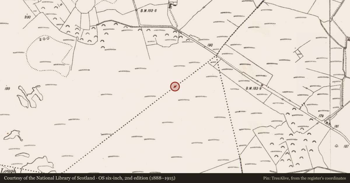 Ordnance Survey six-inch map, 2nd edition (1888–1915) covering the location of Structure - peatland, Drinagh, County Offaly, with a pin at the register's coordinates