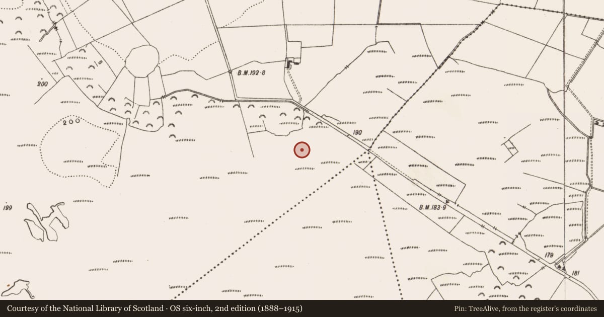 Ordnance Survey six-inch map, 2nd edition (1888–1915) covering the location of Structure - peatland, Drinagh, County Offaly, with a pin at the register's coordinates