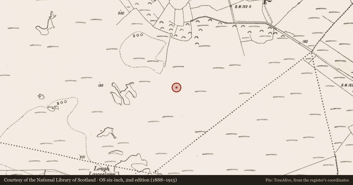 Ordnance Survey six-inch map, 2nd edition (1888–1915) covering the location of Structure - peatland, Drinagh, County Offaly, with a pin at the register's coordinates