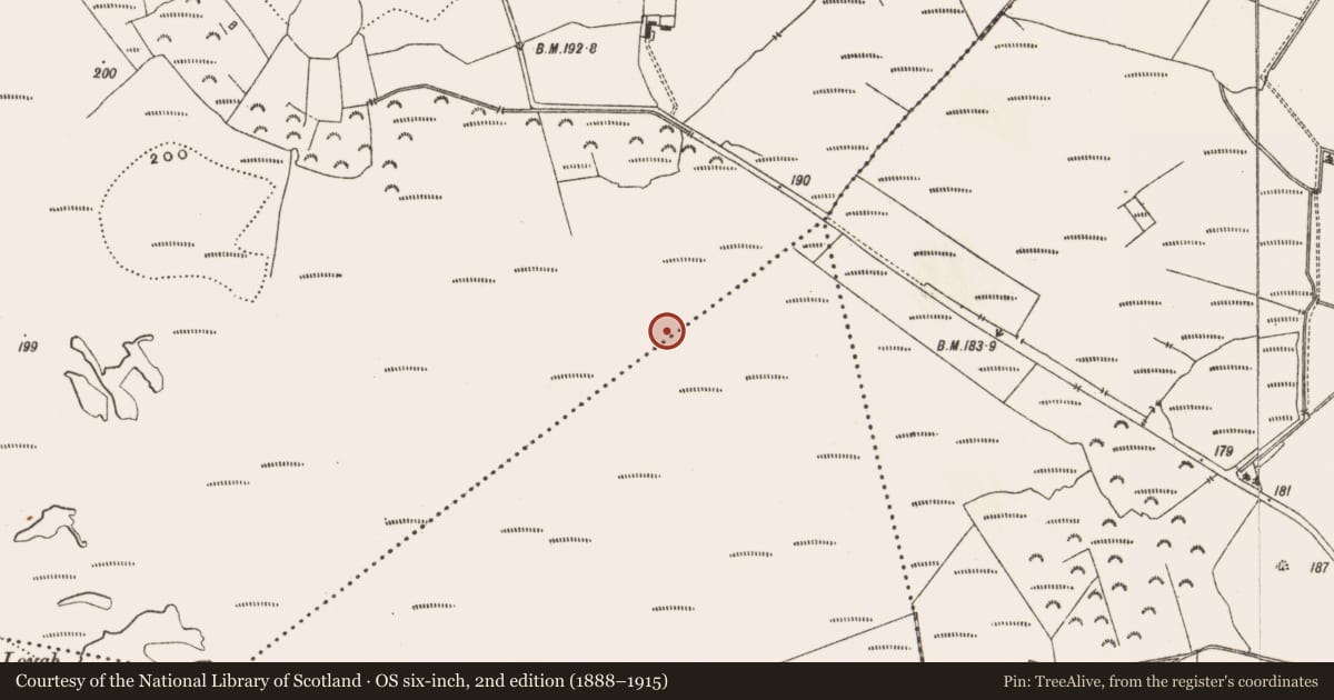 Ordnance Survey six-inch map, 2nd edition (1888–1915) covering the location of Structure - peatland, Drinagh, County Offaly, with a pin at the register's coordinates