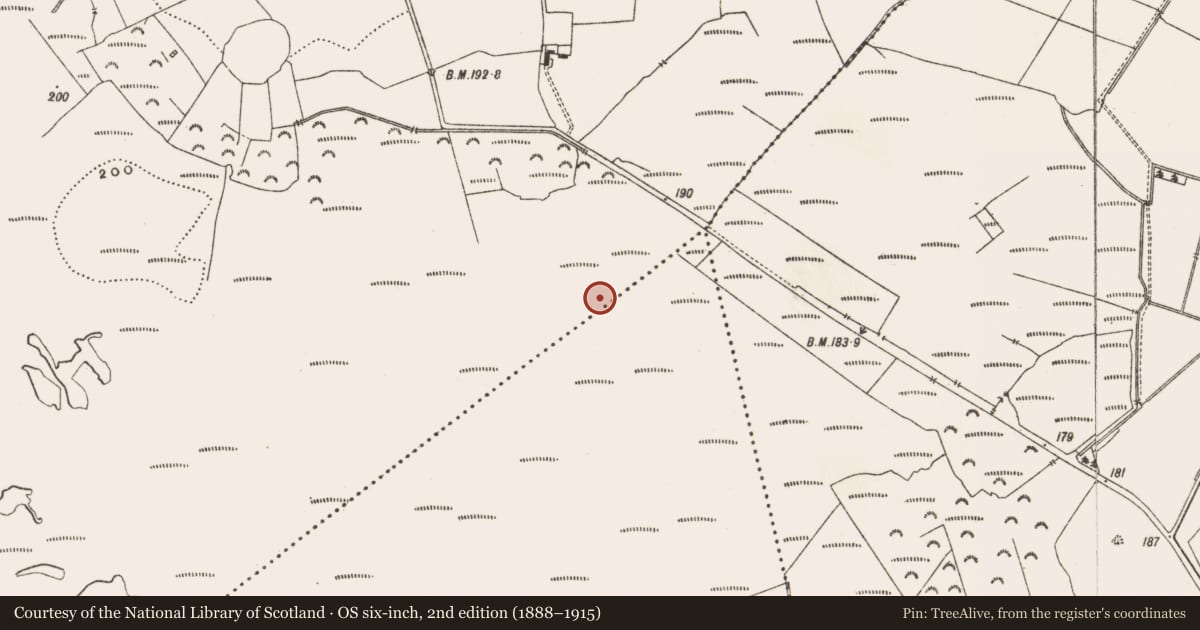 Ordnance Survey six-inch map, 2nd edition (1888–1915) covering the location of Road - class 3 togher, Drinagh, County Offaly, with a pin at the register's coordinates