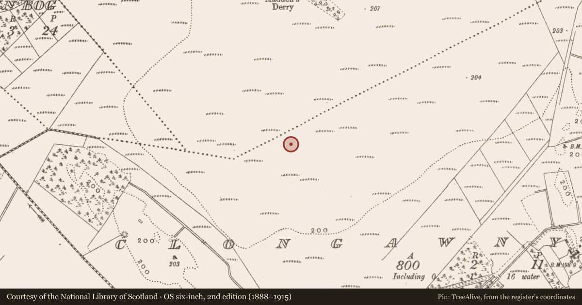 Ordnance Survey six-inch map, 2nd edition (1888–1915) covering the location of Road - class 3 togher, Clongawny, County Offaly, with a pin at the register's coordinates