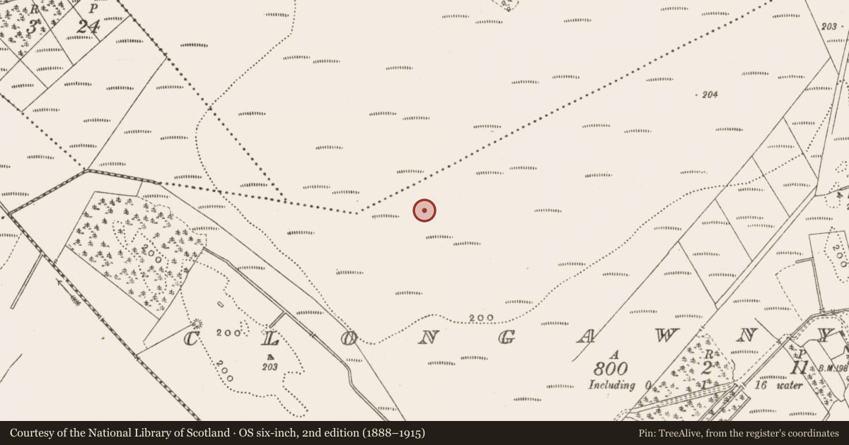 Ordnance Survey six-inch map, 2nd edition (1888–1915) covering the location of Road - class 3 togher, Clongawny, County Offaly, with a pin at the register's coordinates