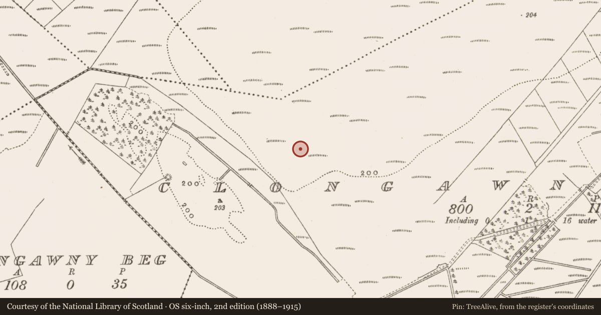 Ordnance Survey six-inch map, 2nd edition (1888–1915) covering the location of Structure - peatland, Clongawny, County Offaly, with a pin at the register's coordinates
