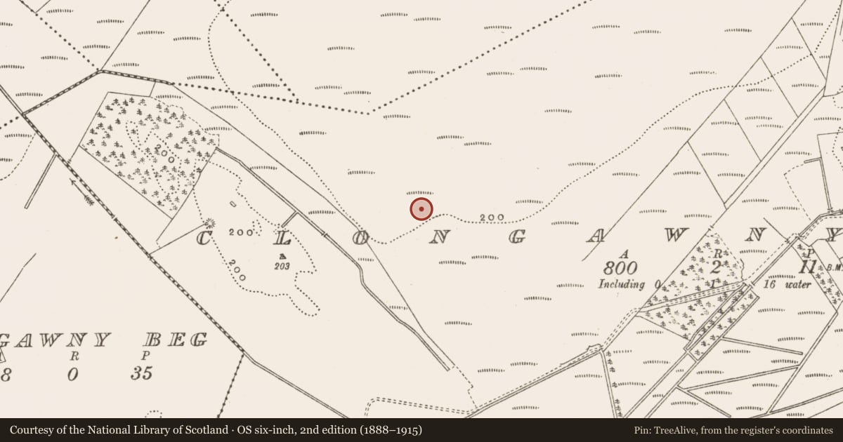 Ordnance Survey six-inch map, 2nd edition (1888–1915) covering the location of Road - class 3 togher, Clongawny, County Offaly, with a pin at the register's coordinates