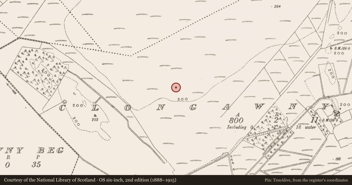 Ordnance Survey six-inch map, 2nd edition (1888–1915) covering the location of Road - class 3 togher, Clongawny, County Offaly, with a pin at the register's coordinates