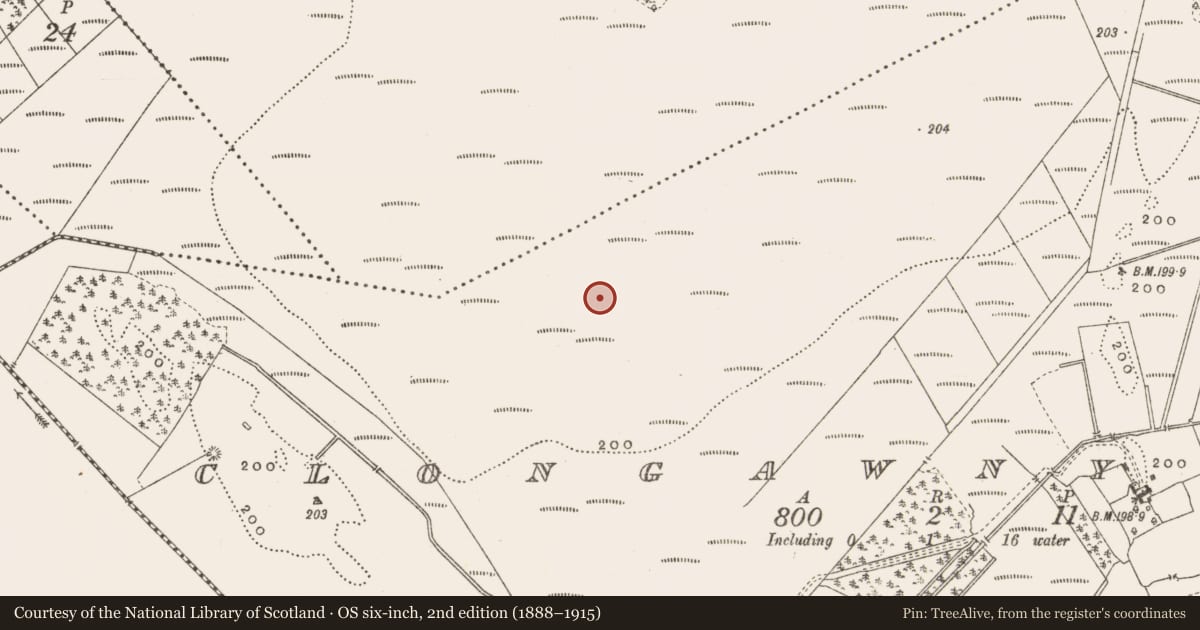 Ordnance Survey six-inch map, 2nd edition (1888–1915) covering the location of Road - class 3 togher, Clongawny, County Offaly, with a pin at the register's coordinates