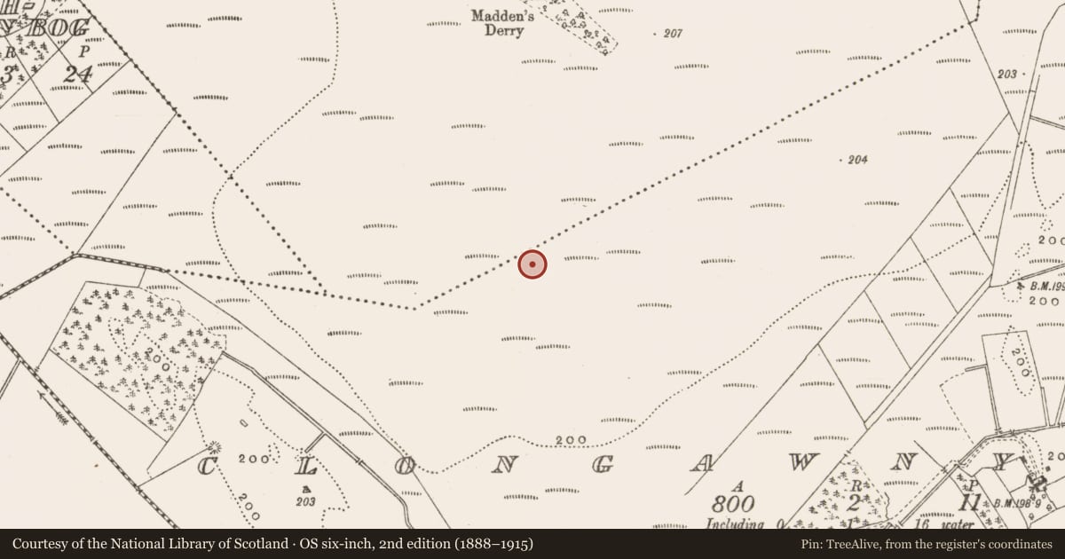 Ordnance Survey six-inch map, 2nd edition (1888–1915) covering the location of Road - class 3 togher, Clongawny, County Offaly, with a pin at the register's coordinates