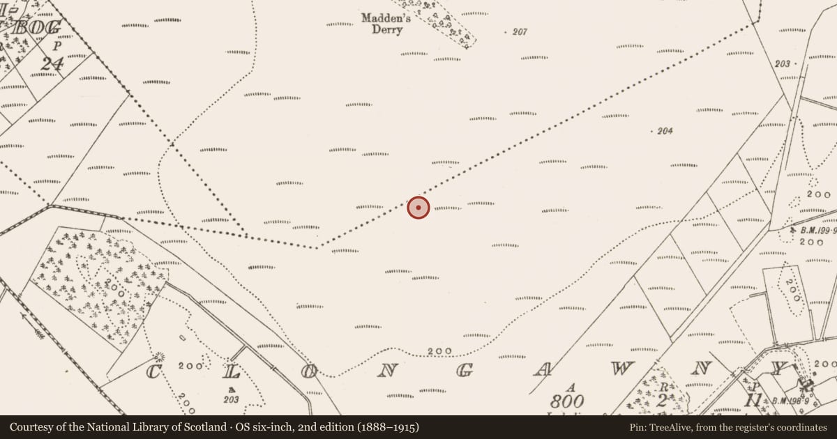 Ordnance Survey six-inch map, 2nd edition (1888–1915) covering the location of Road - class 2 togher, Clongawny, County Offaly, with a pin at the register's coordinates