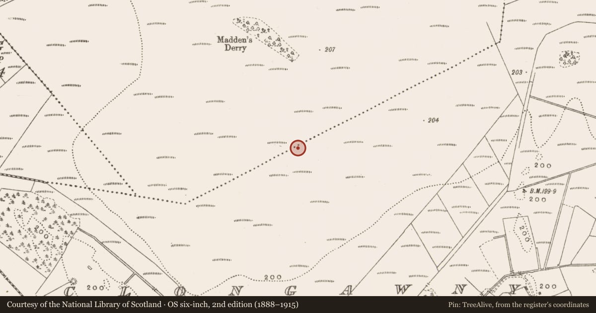 Ordnance Survey six-inch map, 2nd edition (1888–1915) covering the location of Structure - peatland, Clongawny, County Offaly, with a pin at the register's coordinates