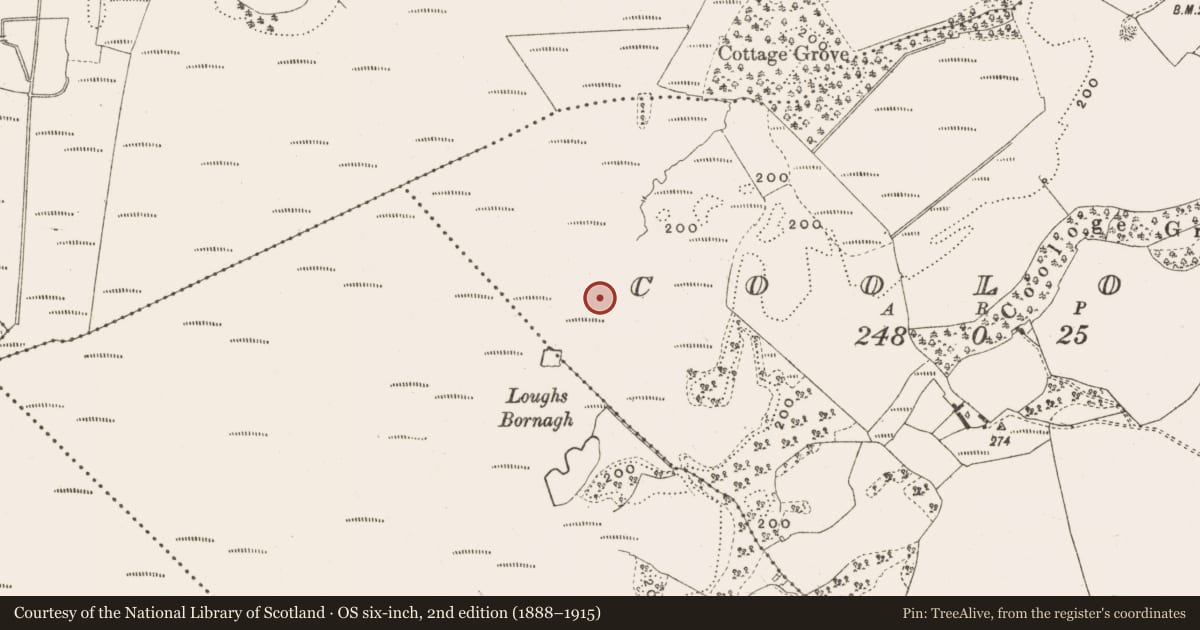 Ordnance Survey six-inch map, 2nd edition (1888–1915) covering the location of Road - class 3 togher, Coologe, County Offaly, with a pin at the register's coordinates