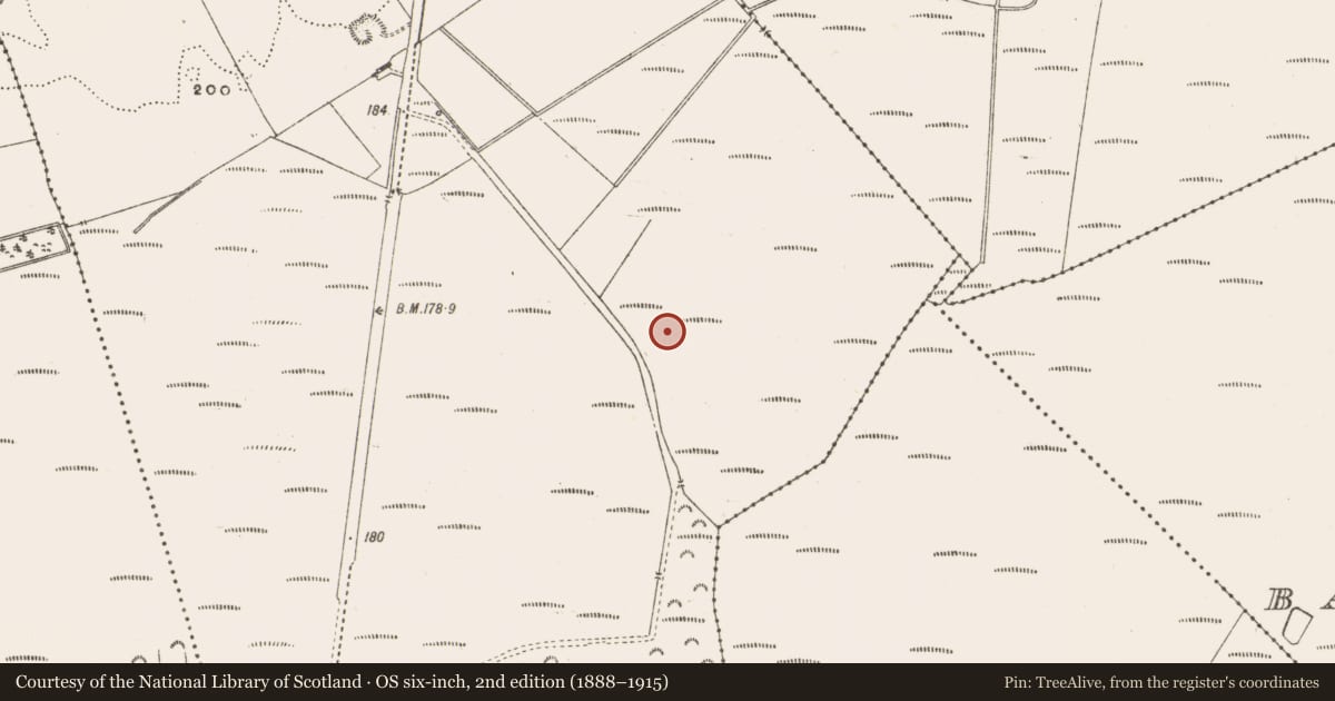 Ordnance Survey six-inch map, 2nd edition (1888–1915) covering the location of Structure - peatland, Galros East, County Offaly, with a pin at the register's coordinates