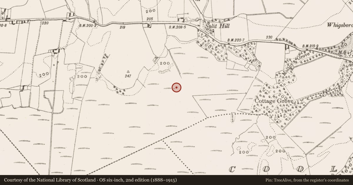 Ordnance Survey six-inch map, 2nd edition (1888–1915) covering the location of Structure - peatland, Whigsborough, County Offaly, with a pin at the register's coordinates