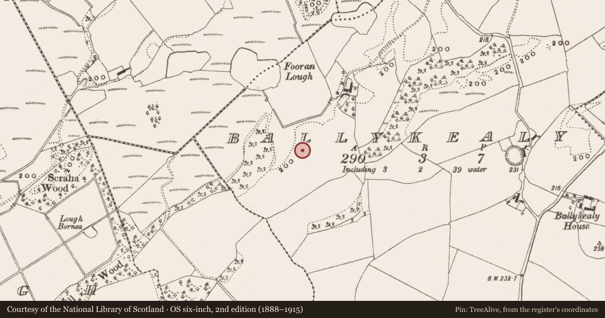 Ordnance Survey six-inch map, 2nd edition (1888–1915) covering the location of Castle - unclassified, Ballykealy, County Offaly, with a pin at the register's coordinates