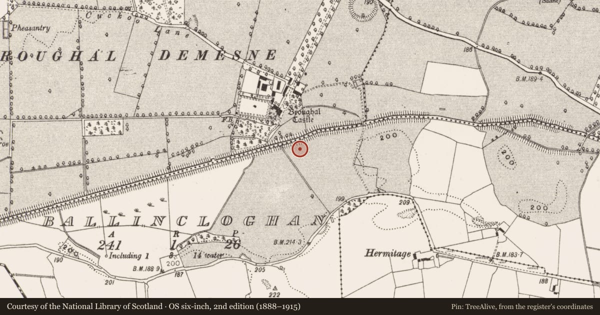 Ordnance Survey six-inch map, 2nd edition (1888–1915) covering the location of Enclosure, Ballincloghan, County Offaly, with a pin at the register's coordinates